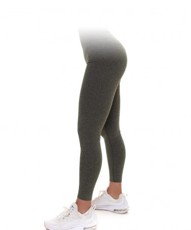 Seamless Leggings